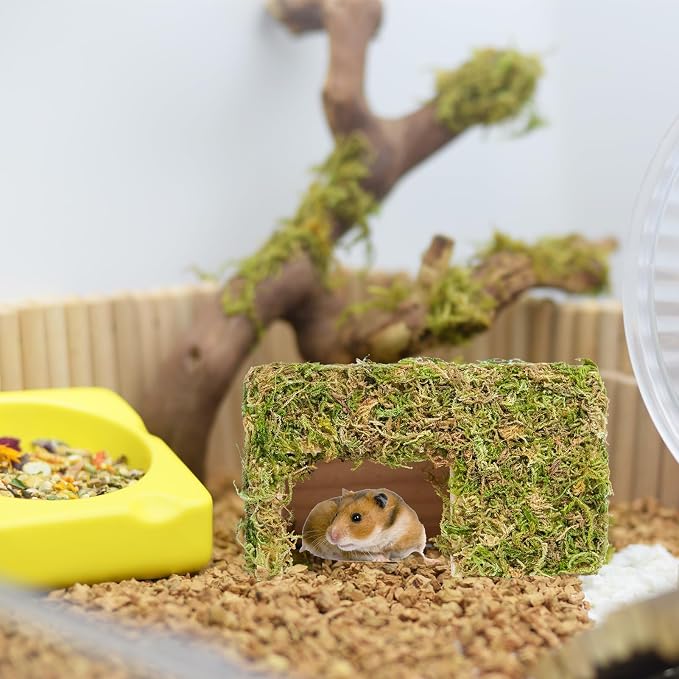 Hamster Hideout - Large, Natural Moss, Handcrafted for Syrian Hamsters, Rats & Guinea Pigs, Hermit Crab,Hedgehogs,Lizards & Other Reptiles（Square, Large）