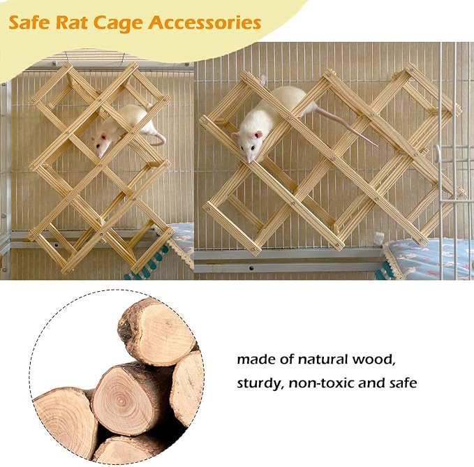 Kiln-Dried Wood Rat Climb Toy, Hanging Cage Ladder Activity (L, 1pc) | Natural Rat Cage Bridge, Multiple Openings & Directional Ramps Offer Challenges to Satisfy Rats' Instincts for Explore & Play