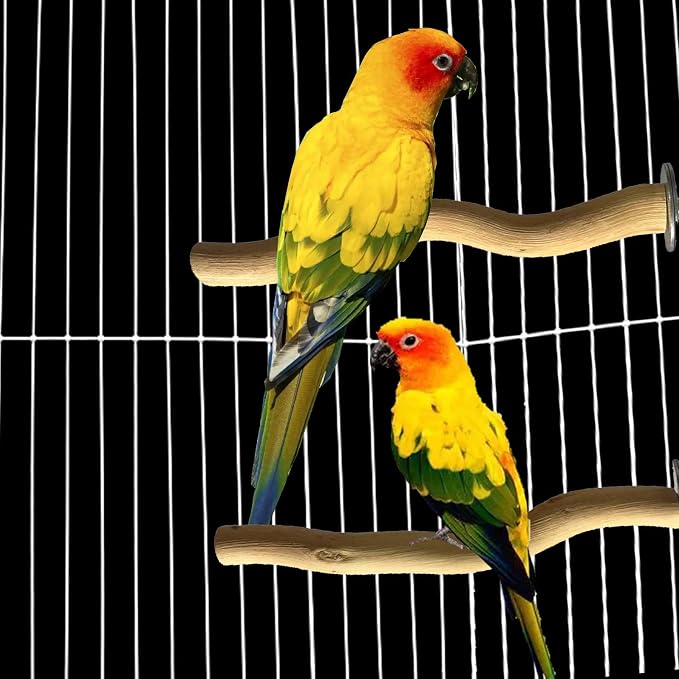 5 PCS Natural Parrot Perch Bird Stand Wooden Parrot Perch Stand Parakeet Climbing Standing Branches Toy for Small Lovebirds Budgies Cockatiels