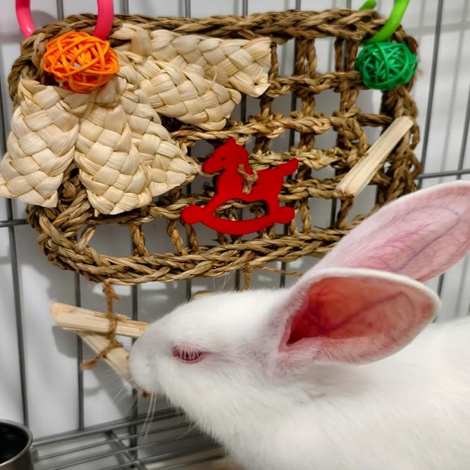 Rabbits Chew Toy, Bunny Cage Hanging Chew Toys and Treats | Grass With Sweet Bamboo, For Guinea Pigs, For Chinchillas, For Hamsters, For Rats