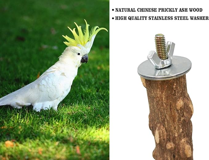 Large Natural Pepper Wood Parrot Stand Branch, Wooden Perch for Parakeet Cockatiels Conures Lovebirds Budgies, Birdcage Accessories 15.66.7 Inches