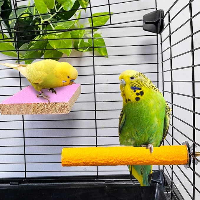 7PCS Bird Perch Stand Platform Natural Wood Parakeet Toys Cage Accessories | Colorful Rough Quartz Sand Surface, Thickened Exercise Paw Grinding Stick for Budgies, Cockatiel, Lovebirds, Finch, Canary