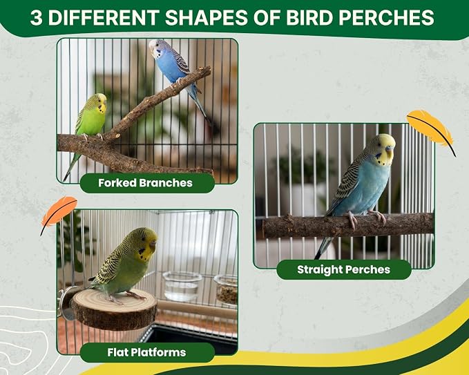 DS. DISTINCTIVE STYLE 6 PCS Bird Perches for Cage | Natural Apple Wood Perch Set with Platforms for Small Birds, Parakeets, Budgies, Cockatiels Climbing, Resting & Foot Exercise