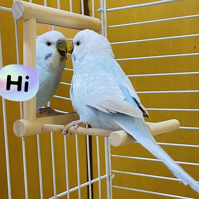 Bird Mirror Parakeet Mirror Perch Stand Wooden Swing Mirror Toy Cage Accessories for Cockatiel Parakeet Budgie Lovebird Small Parrots