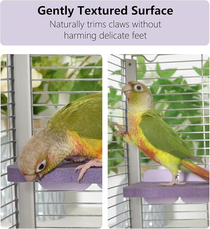 Bird Perch Stand for Parrots – Natural Ceramic Grinding Stick for Beak, A Safe, Non-Shedding Chewing and Claw-Trimming Perch for Parrots (Purple, Medium Size)