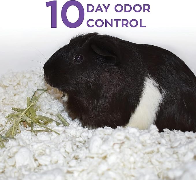 Carefresh White Natural Paper Small Pet Bedding, Odor Control 50L | 2X more absorbent, 99% dust free, odor control, Biodegradable and compostable, For hamsters, rabbits and guinea pigs