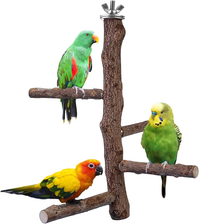 Bird Perch Stand Toy Natural Wood Bird Cage Branch Perch 10 Inch | Natural Wood Perch Stand w/ 4 Branches Bird Cage Inside Accessories Bird Toy for Parakeet Cockatiel Conure Finches Love Birds