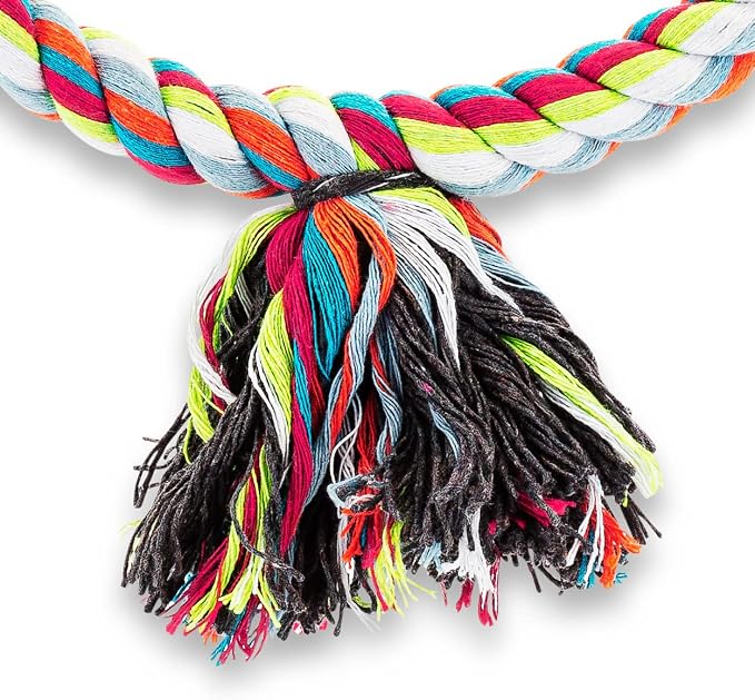 Spoiled Pet® Medium Bird Rope Perch Circle Swing Toy Multicolor 8 Inch | Natural cotton & steel rod cage accessory for Cockatiel Conure, Safe to climb, chew, relieve boredom, with metal quick link
