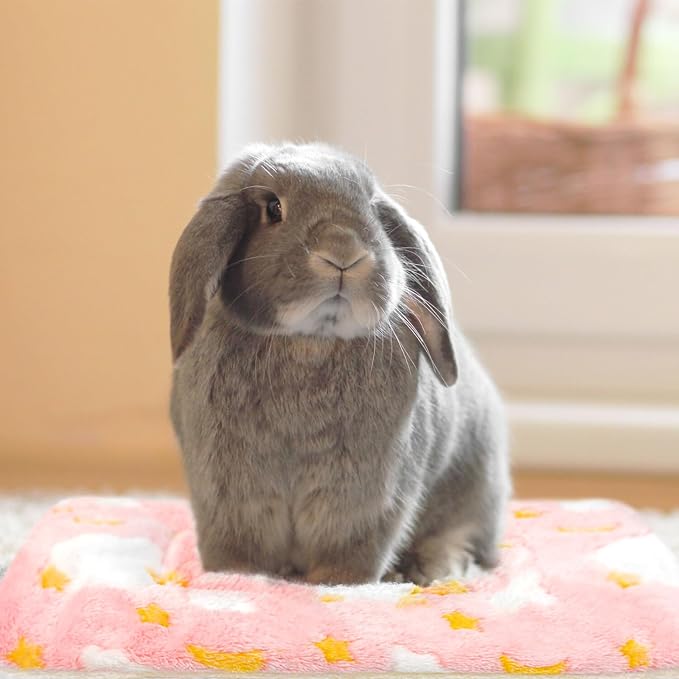10PCS Guinea Pig Bed, Soft Rabbit Bedding, Fleece Bunny Mat | Warm Plush Cage Liner, Sleeping Blanket for Hamster Ferret Squirrel Hedgehog Rat