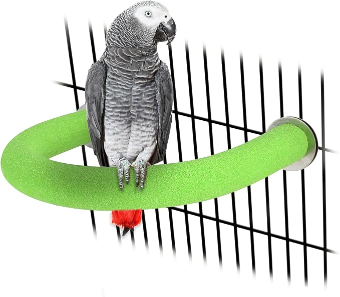 Rypet U-Shaped Large Parrot Perch, Quartz Bird Perch for Cage(Green L) | Safe Chew & Rest Perch for Large Birds, Durable Non-Toxic Cage Accessory, for Parakeets Cockatiels Conures Macaws