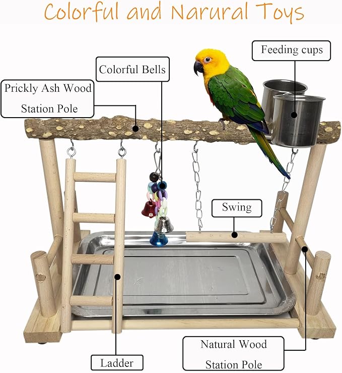 PINVNBY Bird Playground Parrot Playstand Birds Play Stand Wood Exercise Perch Gym Stand Playpen Ladder with Feeder Cups Hanging Swing Toys for Parakeet Conure Cockatiel Budgie Cage Accessories