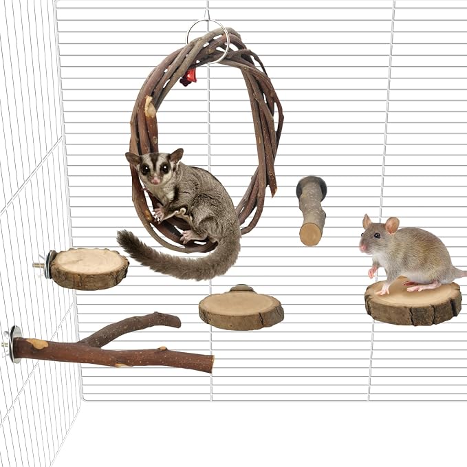 BNOSDM 6 Packs Wooden Sugar Glider Cage Accessories Rat Climbing Toys with Swing, Perch Stands & Platforms, Small Animal Habitat Decor for Chinchilla, Squirrel, Gerbil, Hamster