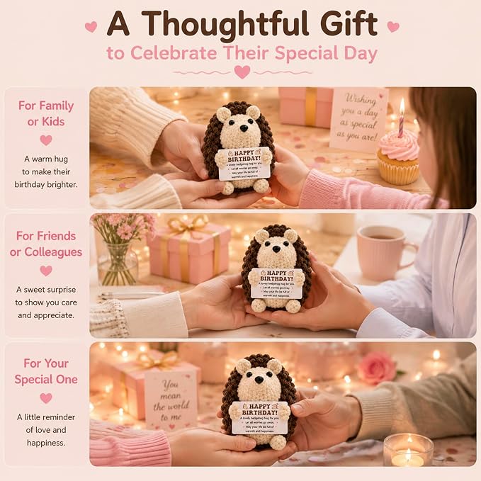 Funny Happy Birthday Gifts for Women Men,Handmade Crochet Hedgehog Gifts | Cute Inspirational Encouragement Cheer Up Birthday Gifts,Happy Birthday Gifts Idea Bday Decorations