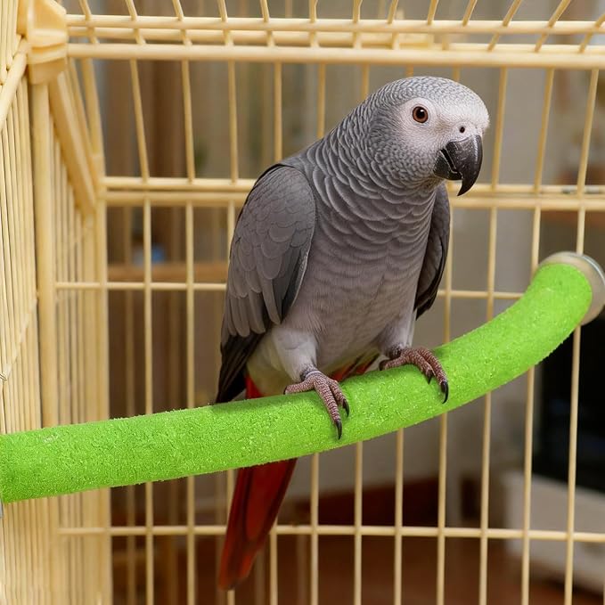 Rypet 90-Degree Parrot Perch for Cage Corner, Quartz Bird Perch (Green XL) | For Paw Grinding Clean Stick Exercise, Rough Quartz Surface, Small Parakeets Cockatiel Conures