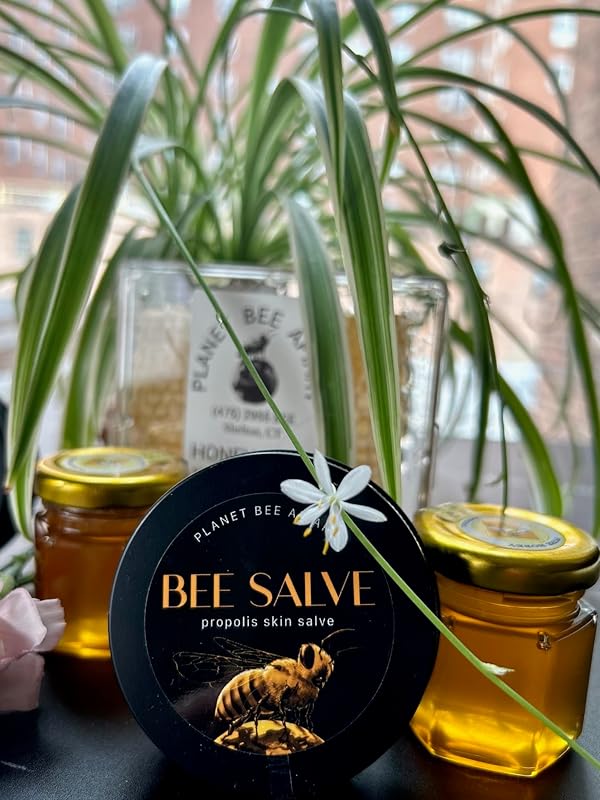 Salve, Hand Salve, Healing Balm, Dry Skin Salve with Beeswax and Propolis, Skin Repair, Moisturizer, All Natural, Planet Bee Apiary UNSCENTED BEE SALVE 1oz