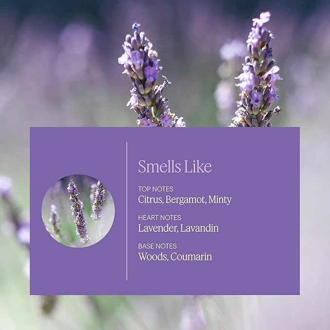 Aera Mini Lavender - Essential Oil for Home - Calming and Meditative Fragrance - Notes of Lavender, Chamomile and Cedar Leaf- Scent Refill - Capsule Size Works with Mini Diffuser