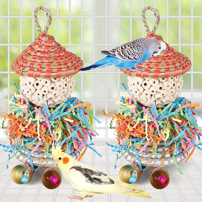 BBjinronjy 2PCS Bird Toys Parrot Foraging Shredder Hanging Toys Sola Balls with Bell for Small Parrots Parakeets Cockatiel Conures Love Birds Budgie Cage Toy