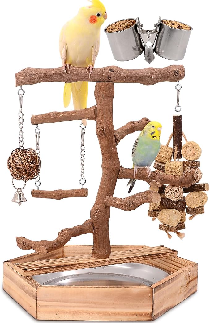 LIMIO Natural Grape Wood Bird Parakeet Playground - Perch Stand for Parakeets, Cockatiels, and Small Birds Toys