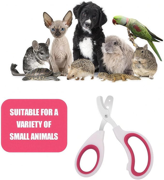 Stainless Steel Bearded Dragon Nail Clippers,Lizard Nail Clippers,Bearded Dragon Supplies,Bearded Dragon Nail Scissors for Small Reptiles,Turtle,Chameleon,Iguana，Hedgehog (Rose red)