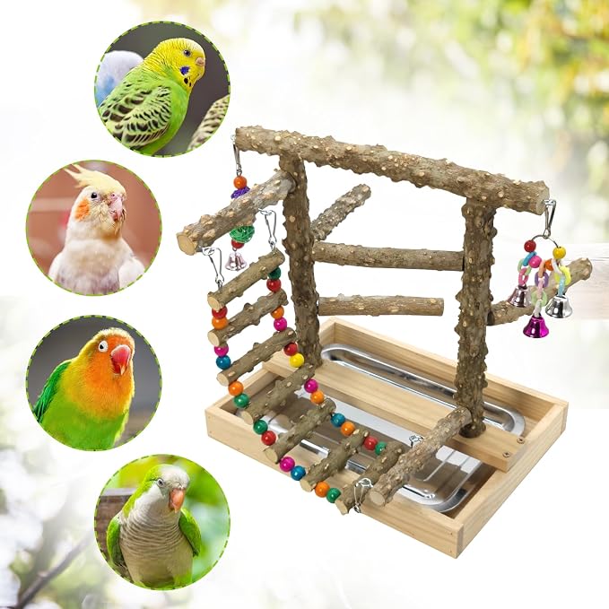 BNOSDM Natural Wood Bird Playground for Training & Playing, Parrot Perch Stand Jungle Gym with Hanging Bridge & Detachable Tray Parakeet Cage Playstand for Budgie, Cockatiel, African Grey