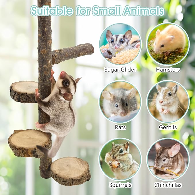 BNOSDM Sugar Glider Toy Natural Fruitwood Round Perch Stand Squirrel Hanging Wooden Climbing Pole Hamster Paw Grinding Perch Small Animal Cage Accessories for Chinchillas Rats Gerbil