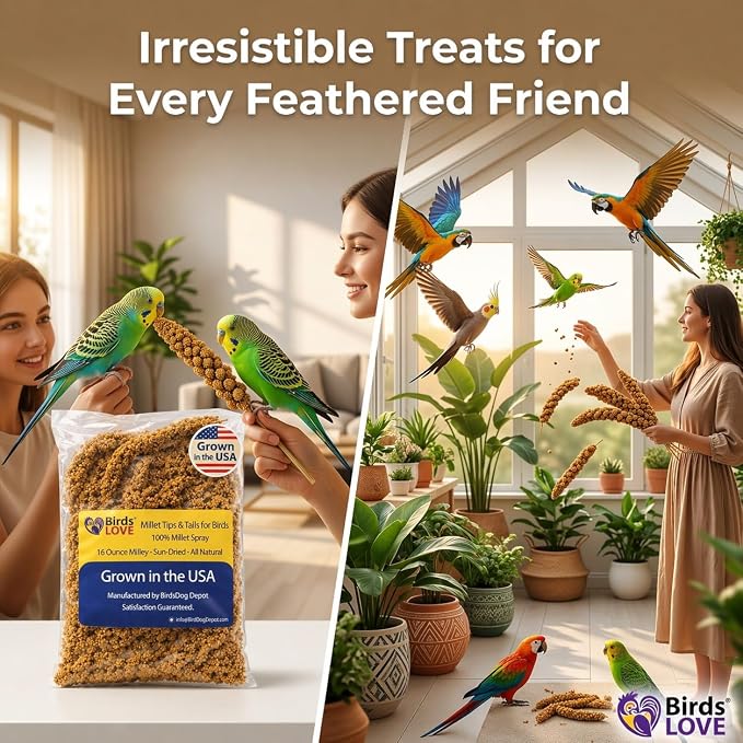 Birds LOVE® Millet Tips & Tails for Birds – Premium Spray Millet Treat, Grown in the USA – Natural & Healthy Bird Food for Parakeets, Cockatiels, Budgies, Lovebirds, Finches, Canaries & Parrots – 1 lb