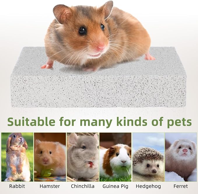 Toddmomy Rabbit Scratching Pad: Natural Lava Pumice Stone Claw & Teeth Grinding Pad for Hamster Guinea Pig Gerbil Small Pet Cage Accessories