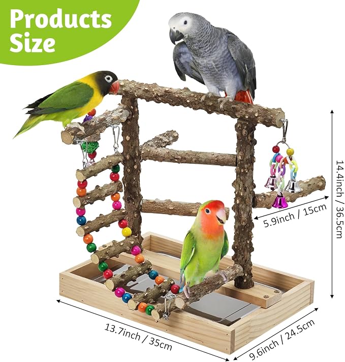 BNOSDM Natural Wood Bird Playground for Training & Playing, Parrot Perch Stand Jungle Gym with Hanging Bridge & Detachable Tray Parakeet Cage Playstand for Budgie, Cockatiel, African Grey