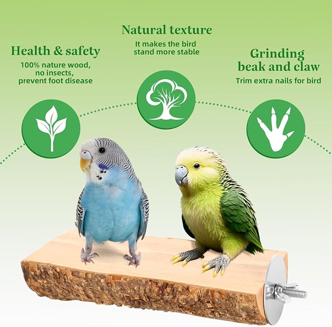 2 Pcs Natural Apple Wood Bird Perch Platform for Cage | Fits Small Parrots (Budgies, Conures) | Flat Top & Bark Underside to Support Foot Health | Tool-Free Mount