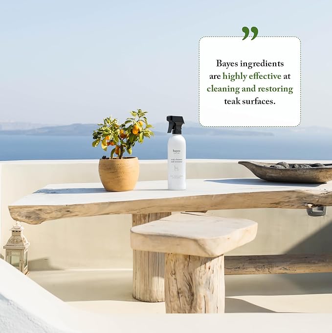Bayes High Performance Teak Cleaner & Restorer - Cleans, Shines, and Protects - Maintains Fine Teak and Restores Neglected Teak - 16 oz, 6 Pack