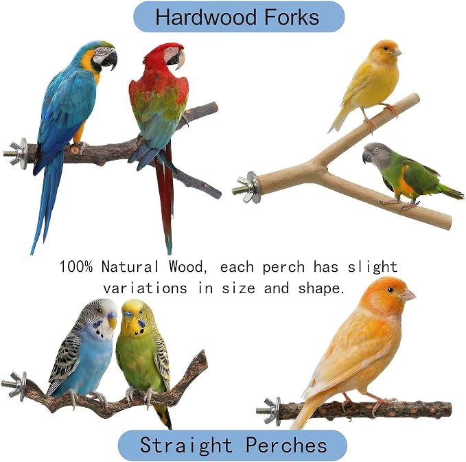 8PCS Bird Perches for Cage, Natural Wood Stands for Small Parrots | Bird Cage Accessories: Natural Wood Perches Set for Cockatiels, Conures, Lovebirds, Budgies. Easy Install, Safe for Chewing