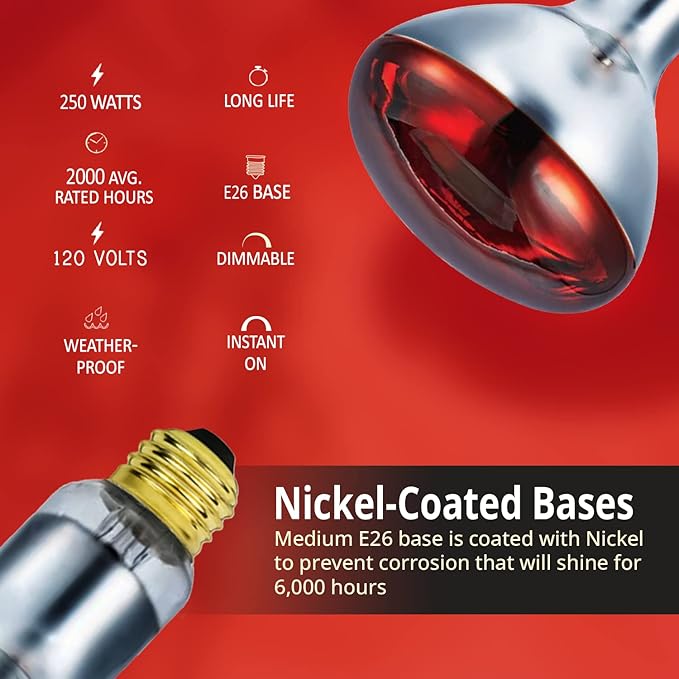 250 Watts R40 Red Heat Lamps Outdoor Bulbs for Pets Flood Light Bulb for Chickens Infrared Reflector 250W R40 Incandescent Medium E26 Base 2 Pack
