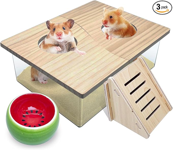 PINVNBY Hamster Sand Bath Box, Transparent Acrylic Shower, Gerbils Digging Room Container with Climbing Ladder and Ceramic Bowl, Litter Box for Hamsters Guinea Pigs Mice (Two Hole)