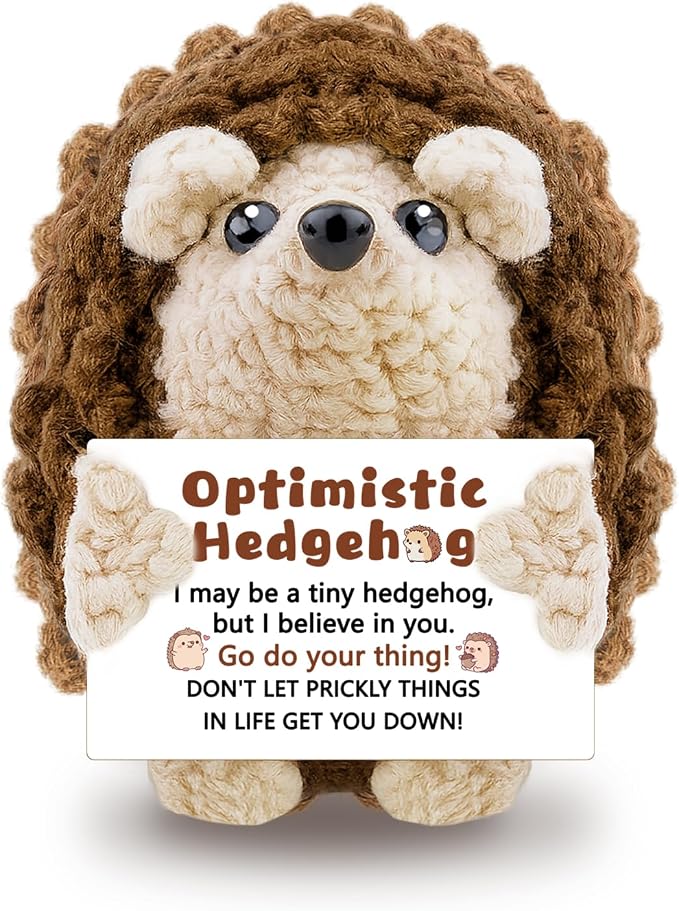 Mini Cute Hedgehog Gifts, Best Friend Friendship Gifts for Women Men | Crochet Hedgehog Cute Decor Inspirational Gift for Adult Coworker Friend