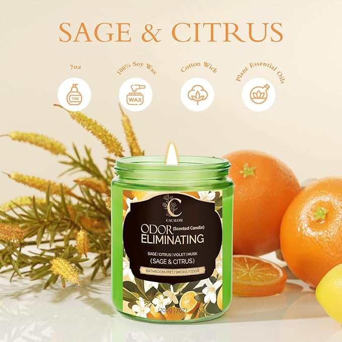 4 Pack Odor Eliminating Candles Set for Pet Smoke, Scented Candles for Home Decor Non Toxic Soy Wax Candle for Relaxing Stress Relief Women Men, 40 Hours Burning Time, House Warming Gifts for Host