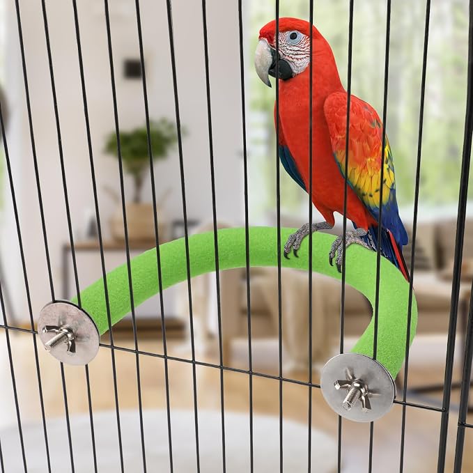Rypet U-Shaped Large Parrot Perch, Quartz Bird Perch for Cage(Green XL) | Safe Chew & Rest Perch for Large Birds, Durable Non-Toxic Cage Accessory, for Parakeets Cockatiels Conures Macaws