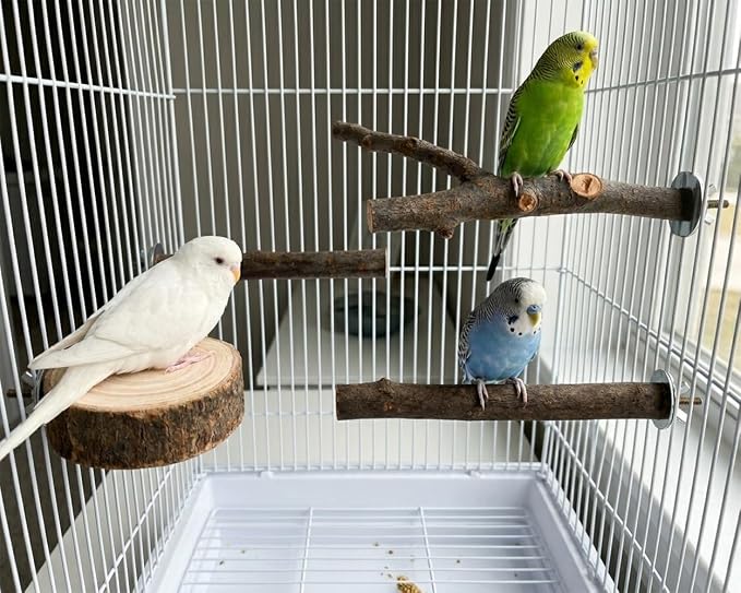 DS. DISTINCTIVE STYLE 6 PCS Bird Perches for Cage | Natural Apple Wood Perch Set with Platforms for Small Birds, Parakeets, Budgies, Cockatiels Climbing, Resting & Foot Exercise