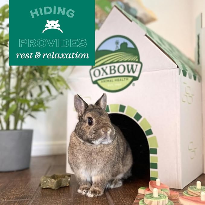 Oxbow Timothy Hay Mat, Edible Rabbit & Guinea Pig Chew Mat, Medium | Hand-Woven, Timothy Hay Chew Mat, For Rabbits, Guinea Pigs, Chinchillas And Rats, Edible Cage Enrichment, Supports Chewing