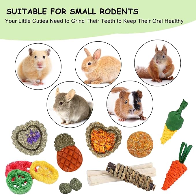 Bunny Toys, 21PCS Rabbit Chew Toys for Teeth, Guinea Pig Natural Treats | Timothy Hay Sticks chew Treats for ChinchillasRabbit, Bunny, Hamsters, Rats, chinehila, Small Animals Teeth Grinding Care