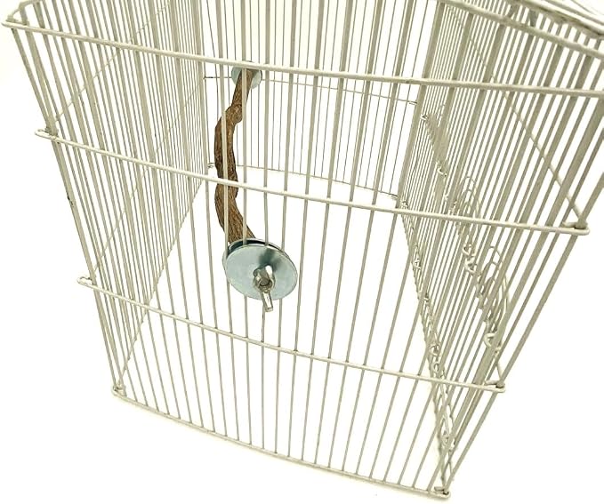 Polly's Full Length Hardwood Cage Perch for Parakeets, Cockatiels, Cockatoos, Macaws, and Other Birds (28")