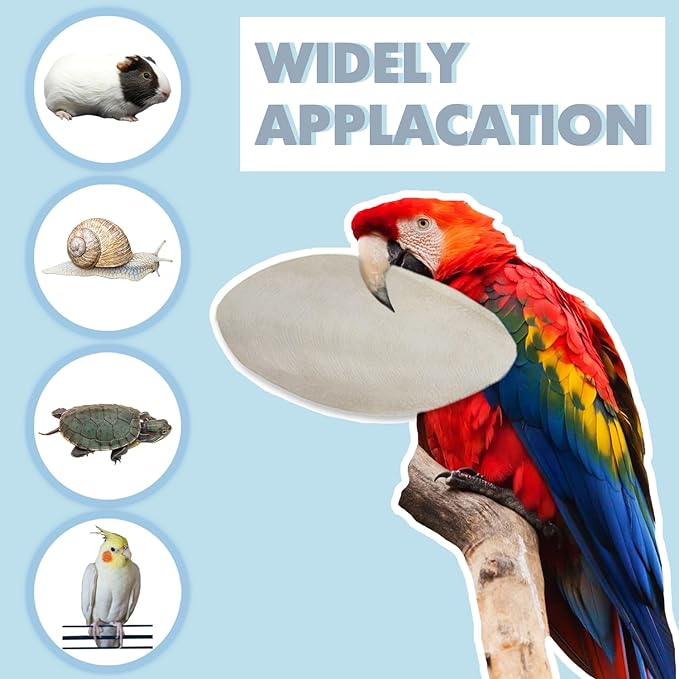Bird Cuttlebone for Parakeets, Cuddle Bone, Birds Calcium, 3.5"-4", 12 Pcs | Cuttlefish Bone for Sharp Beaks, Natural Calcium for Parrots Cockatiels Budgie Tortoise