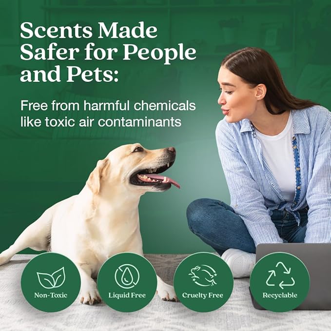 Enviroscent Air Freshener for Home (Balsam Fir & Spruce) Essential Oil Diffuser | Air Freshener & Room Freshener | Home Fragrance Last Over 30 Days | 8 Scent Stix Refills