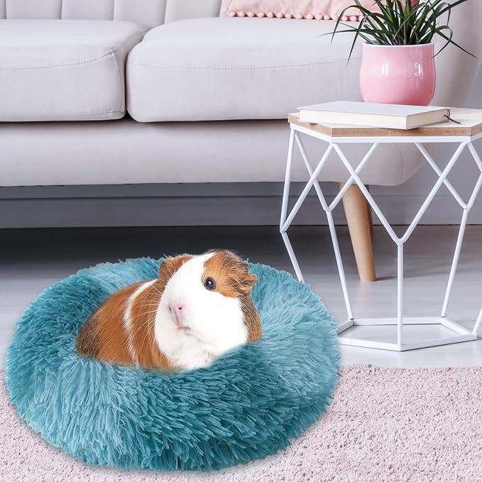 PETKNOWS 2 Pack Guinea Pig Beds Warm Winter Hamster Small Animal Bed | Thickened Plush and PP Cotton Fabric, Guinea Pig and Hamster Bed, Keeping Warm and Safe, 30cm Size with Inner Cushion