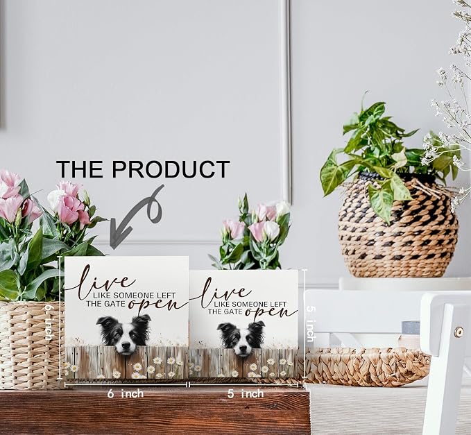 Border Collie Signs - Farm Cottagecore Animal Office Kitchen Bedroom Decor,Rustic Farmhouse Live like Someone Left the Gate Open Home Decor Wooden Signs,Border Collie Gifts for Women,6x6