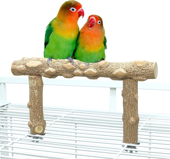 Bird Perch Stand,Natural Wood Cage Gym Toy Branch for Small Large Parrot | 100% Natural pepper wood, no chemical odor, non-slip grip, fits parakeets cockatiels conures African greys, easy install