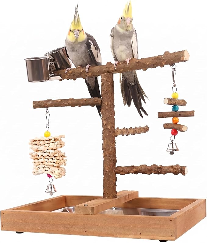 Natural Wood Bird Playground Stand,Bird Perch，Cockatiel Playground | Natural wooden bird stand, playground for small medium birds, feed cups, chew toys and practical removable tray