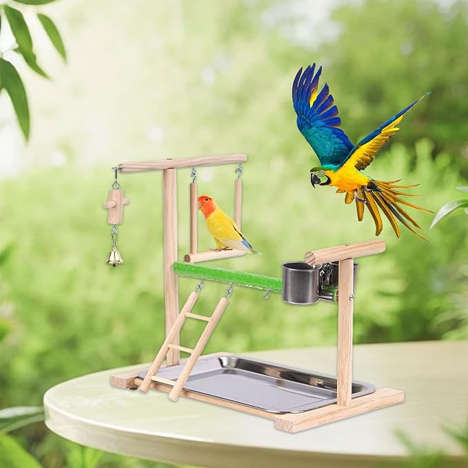 Bird Playground, Natural Wood Bird Perch Stand with Removable Tray and 2 Stainless Steel Feeder Cups, Parrot Playstand Bird Cage Toys for Conure Parakeet Cockatiel Parrot (C)