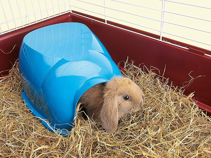 Lixit Igloos and Hideaways for Guinea Pigs, Rats, Mice, Hamsters, Gerbils and Other Small Animals (Large)