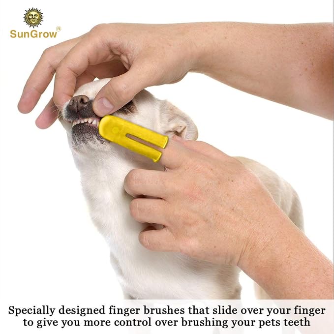 SunGrow Dog & Ferret Toothbrush Set of 4, 2 Long Dual-Headed and 2 Finger Brush, Blue and Yellow, Puppy, Cat, and Small Breed Dog, 9-Inches and 2.5-Inches