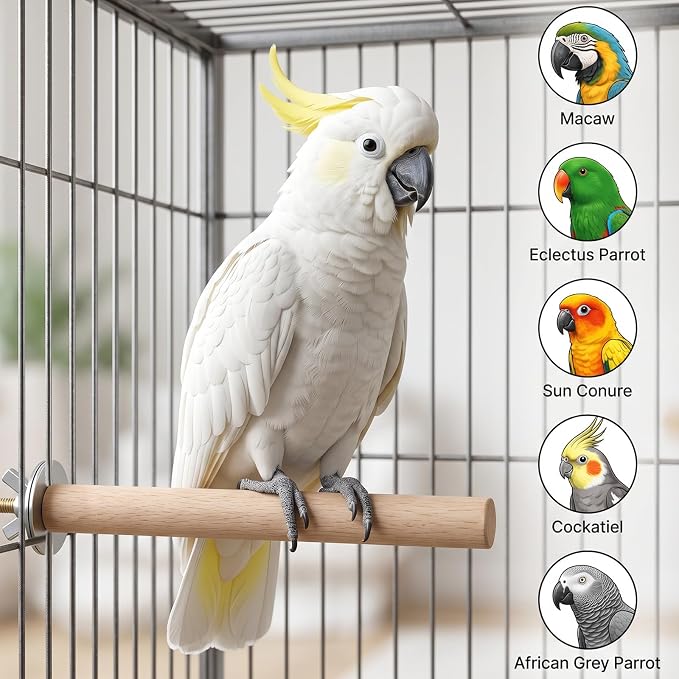 3Pcs Wooden Bird Perch – Natural Parrot Perches Stand with 3 Different Widths (3.9, 5.9, 7.9in), Climbing Branch Rods for Cockatiels, Parakeets, Budgies, Cage Accessories & Toys